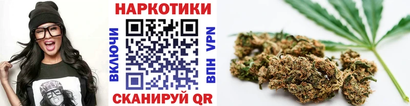 Сколько стоит Вышний Волочёк СК Псилоцибиновые грибы МЕГА как зайти Меф мяу мяу КОКАИН