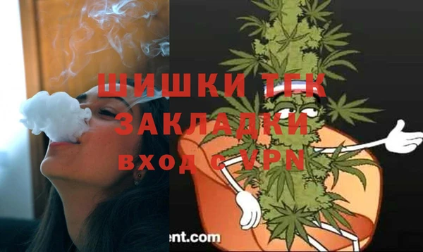 твердый Протвино