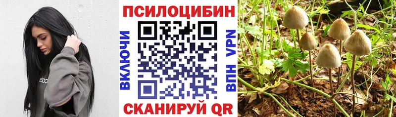 Псилоцибиновые грибы Psilocybine cubensis  OMG ССЫЛКА  Вышний Волочёк  магазин продажи  